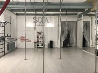 Sofa Dance Pole Art-  