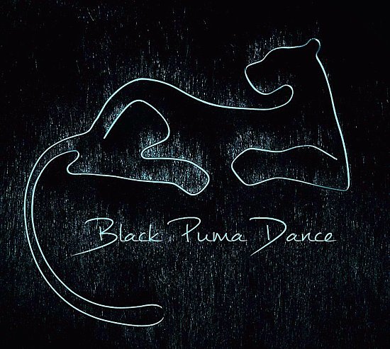 Black Puma-Pole Dance,   ,  !!!
