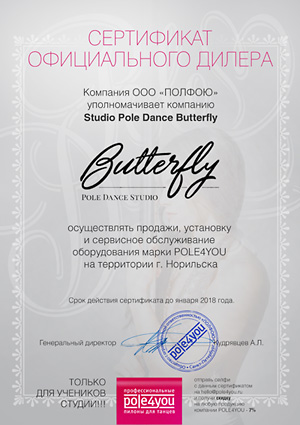 сертификат официального дилера pole4you