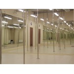 ЕвроФитнес-Pole Dance