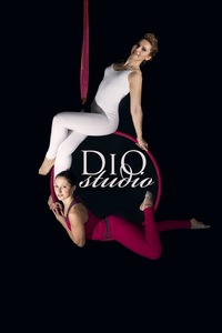 DiO STUDIO-POLE DANCE & AERIAL ART