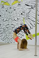 Крылья-Студия танца на пилоне - город Пушкин