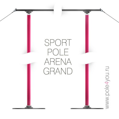 SPORT POLE ARENA - два двухрежимных пилона - с тросовой системой крепления фото 2