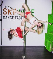 SkyPole-Pole Dane Factory№1