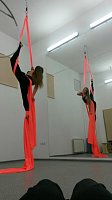 DINAMIKA-Студия вертикальных танцев