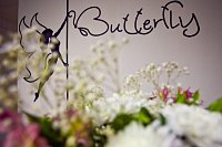 Butterfly POLE DANCE Студия-БаТТЕрфляй школа танцев на пилоне