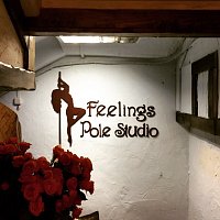 Feelings Pole Studio-Студия  танца на пилоне в сердце столицы
