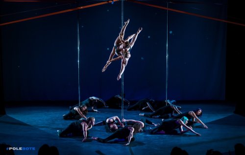 SPORT POLE ARENA - два двухрежимных пилона - с тросовой системой крепления фото 6