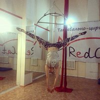 REDCAT-Танцевально-цирковая студия
