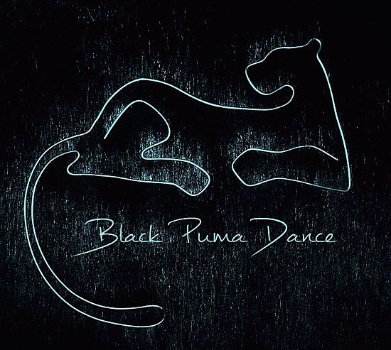 Black Puma-Pole Dance, йога и стретчинг, детские группы!!!