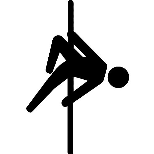 Pole dance professional. Отличительные особенности профессионала pole dance!