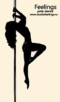 Feelings Pole Studio-Студия танца на пилоне в сердце столицы