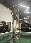 Скользкий пилон: что делать, чем протирать и как выбрать покрытие
