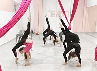 The Tema girls-Современная школа танца и акробатики на пилоне и полотнах. Старый Оскол
