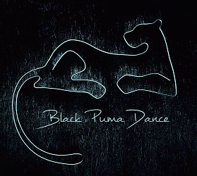 Black Puma